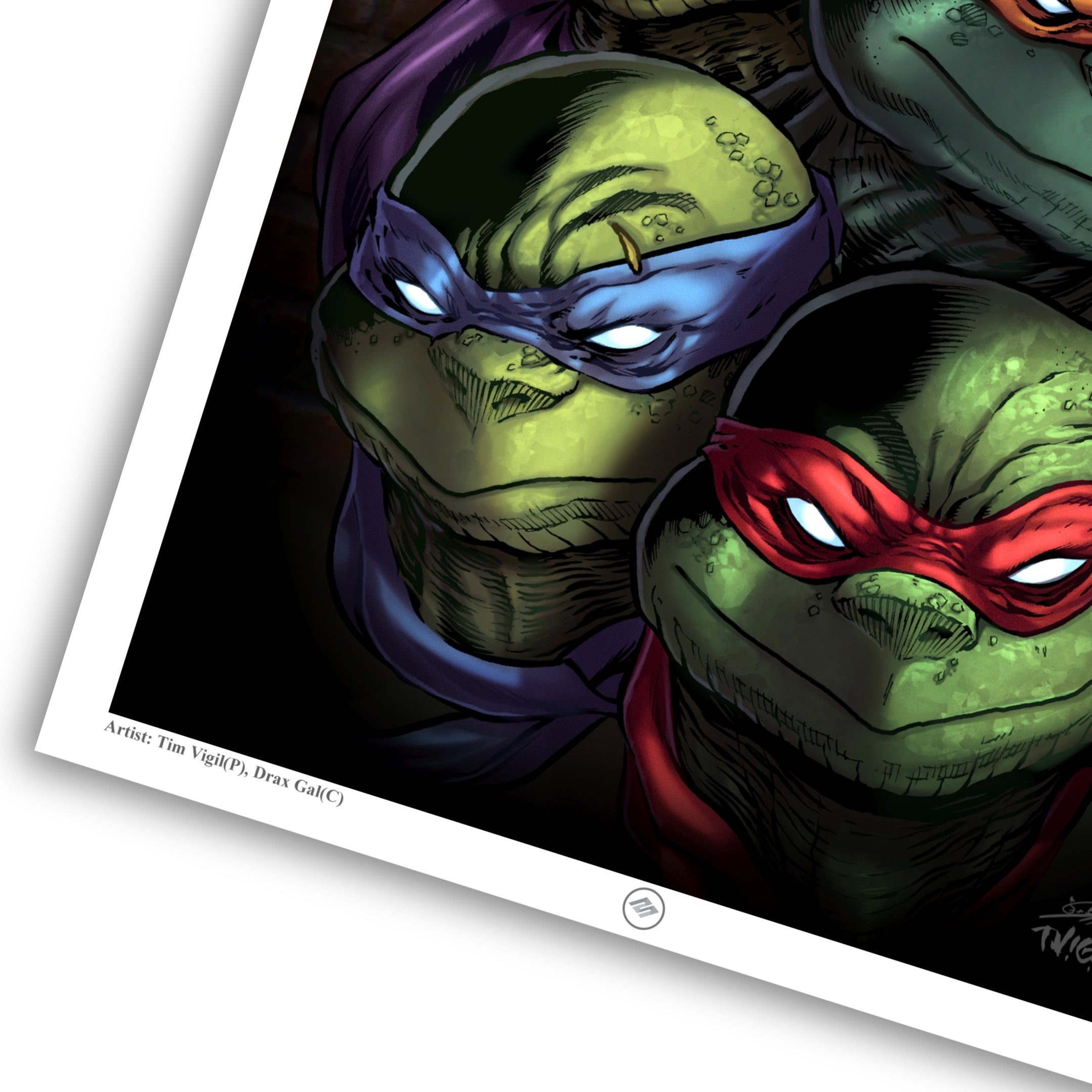 illustration ――― image（ダヴィッド社） Teenage Mutant Ninja Turtles (TMNT) Exclusive 16x24 Giclée Art