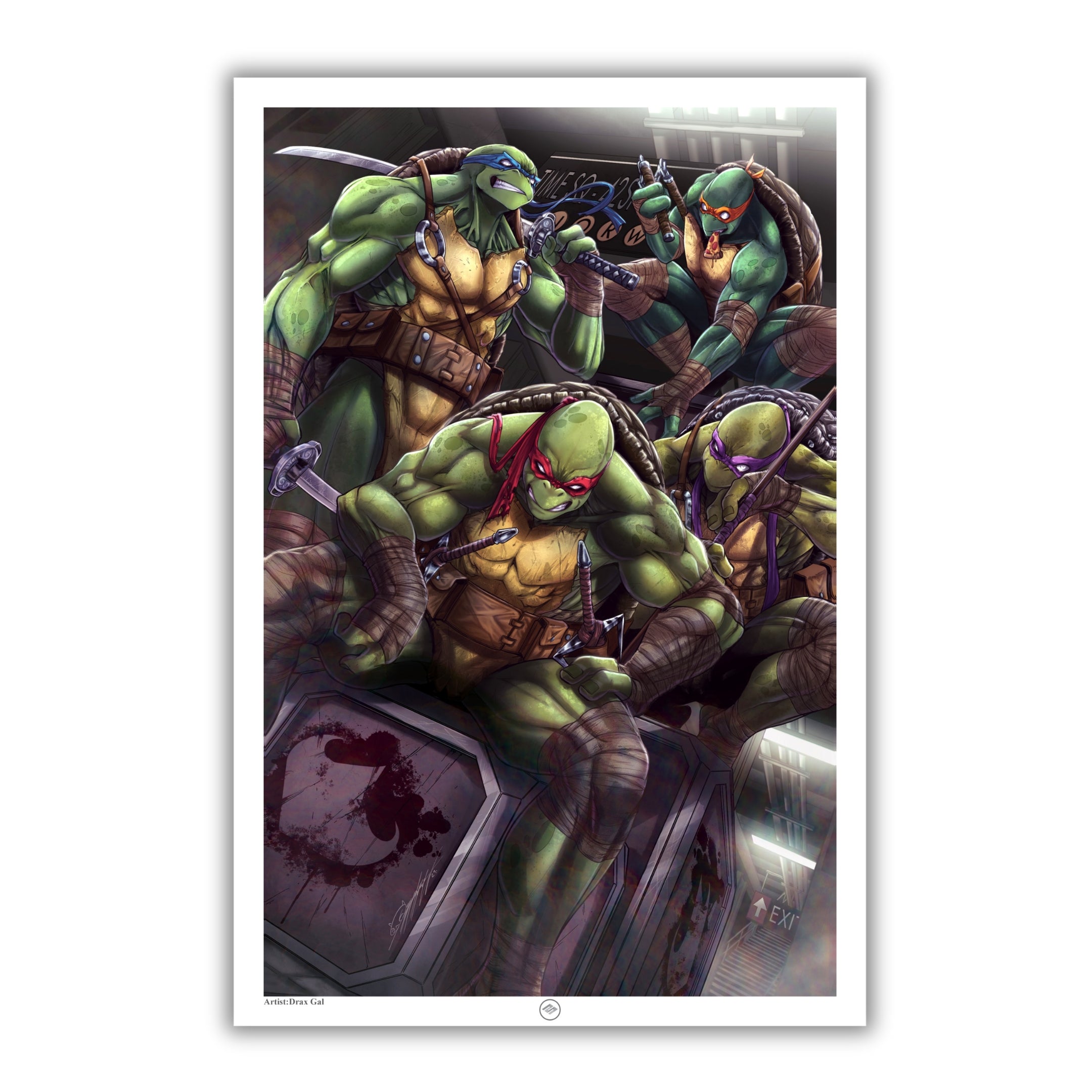 TMNT artist series set popular