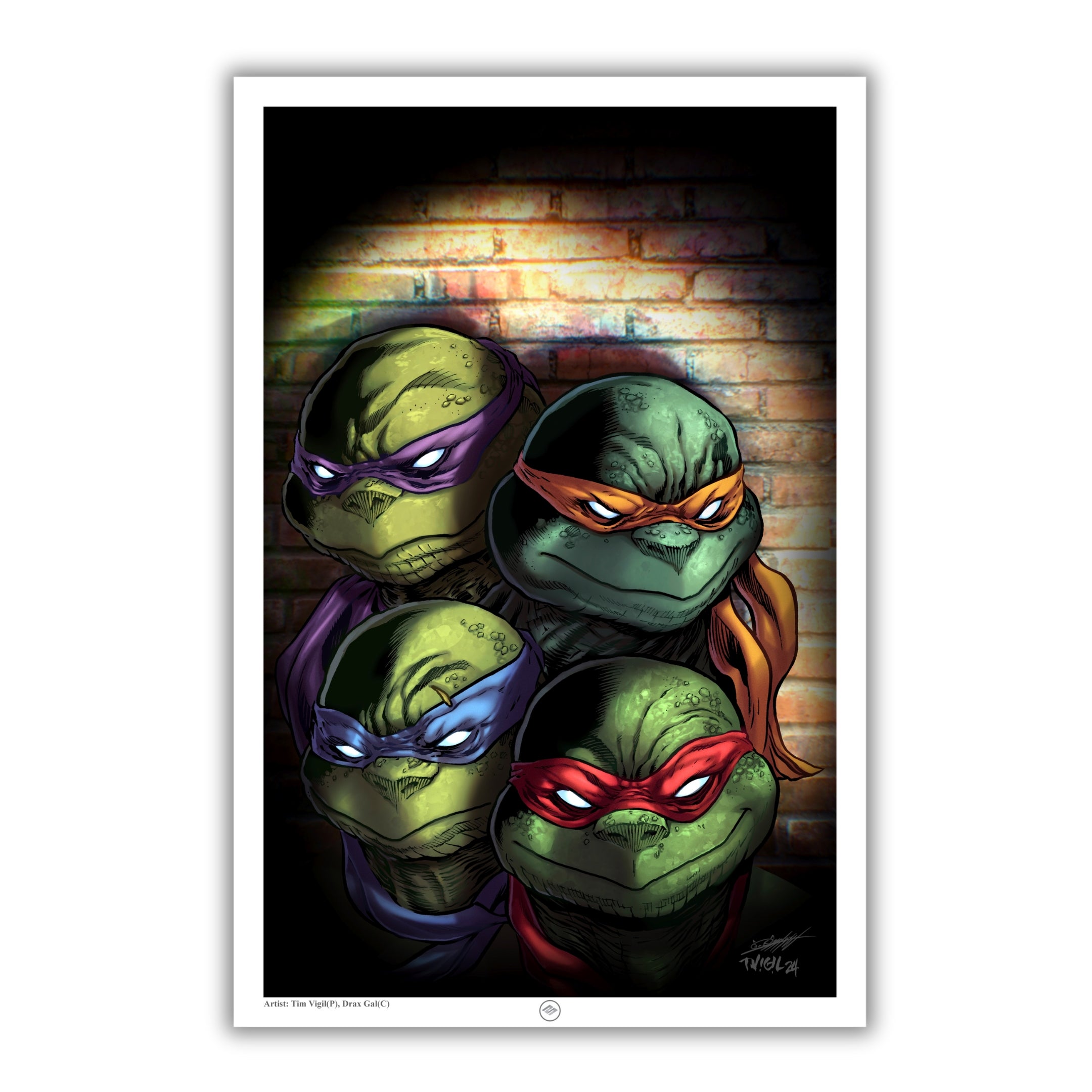 Teenage Mutant Ninja Turtles (TMNT) Exclusive 16x24 Giclée Art